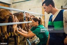 Milking Buckets Couple